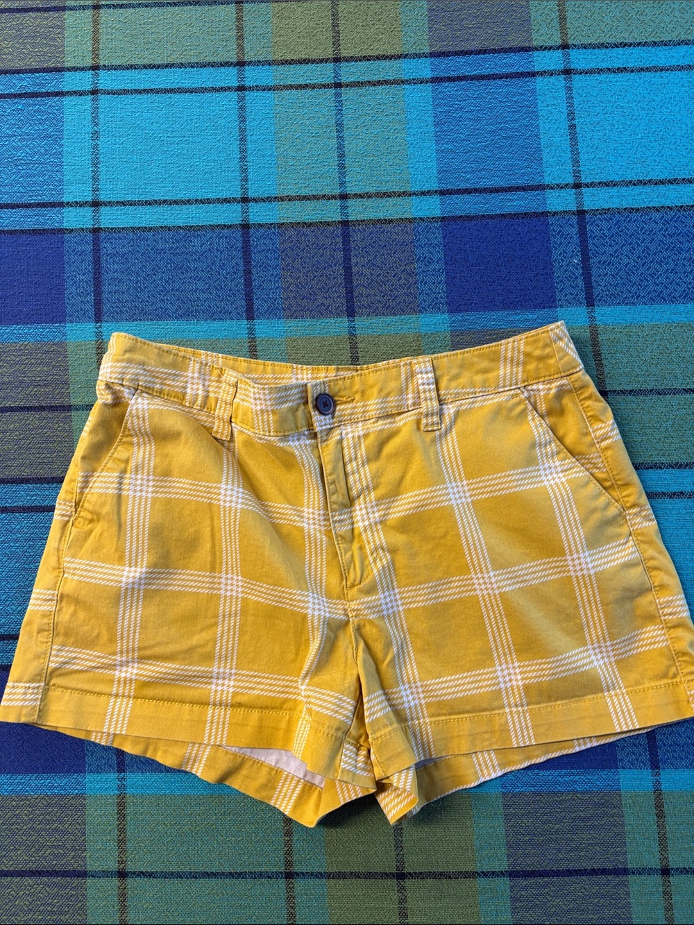 A New Day cute shorts